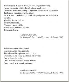 Asibásně Etwagedichte Probable poems, německý překlad M. Spielmann  anglický Paul Wilson Copyright M. Knížák, 1982