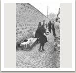 Procházka po Novém Světě, 1964
