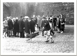 Procházka po Novém Světě, 1964